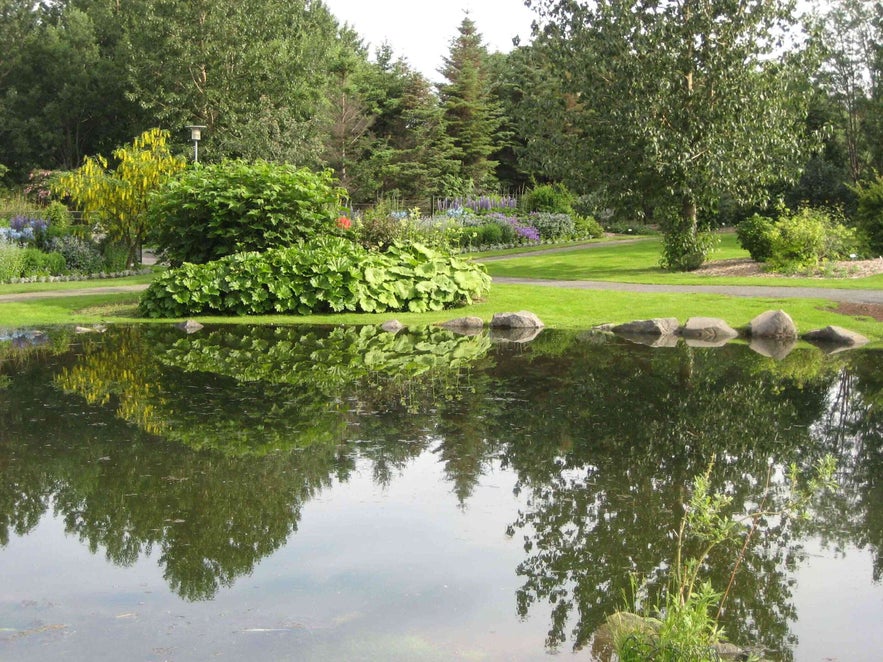 De Dierentuin & Familiepark van Reykjavik (Fjolskyldu- og Husdyragardurinn)