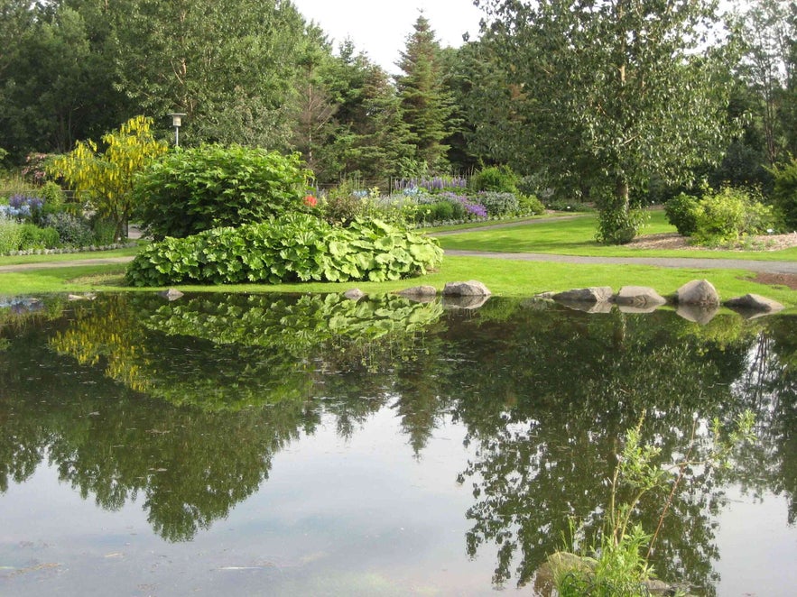 zoo e sul parco di Reykjavik (Fjolskyldu- og Husdyragardurinn)