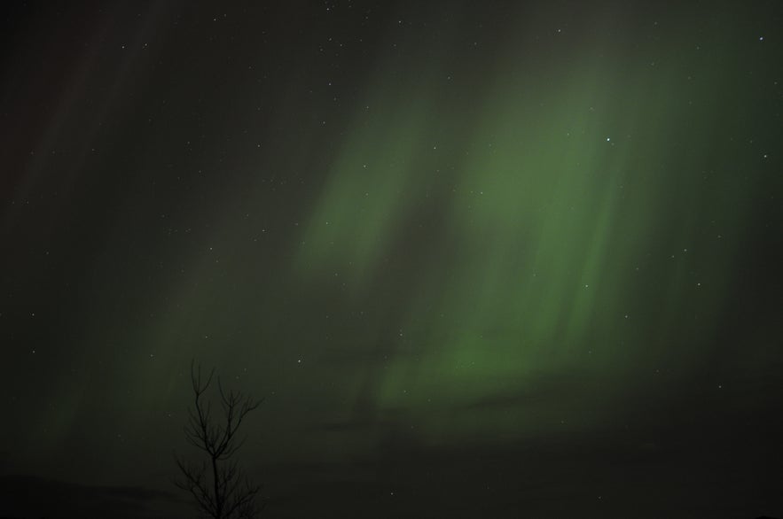 Northern Lights in Reykjavík (The strongest ones I ever saw)