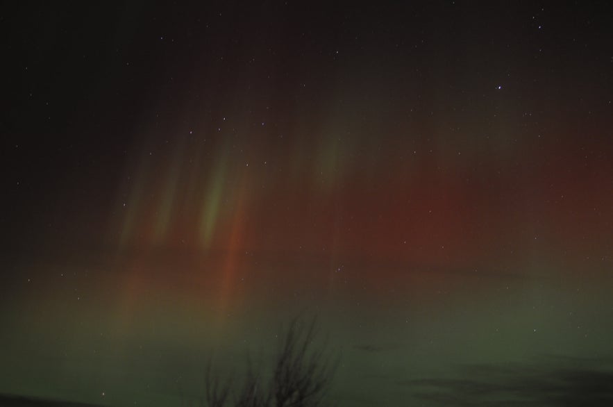 Northern Lights in Reykjavík (The strongest ones I ever saw)