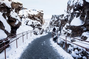 黄金圈一日游旅行团｜好评率最高