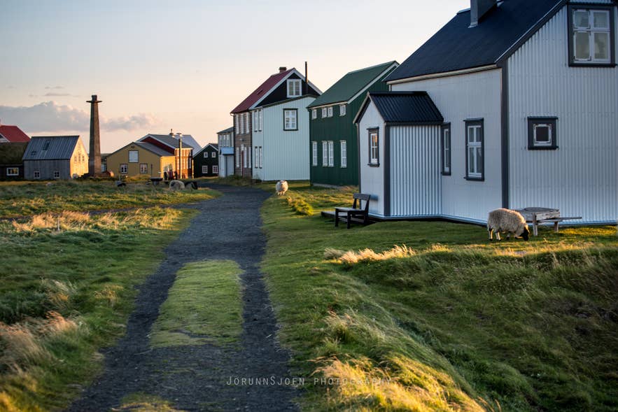 Farverige huse på Flatey i Breidafjördur