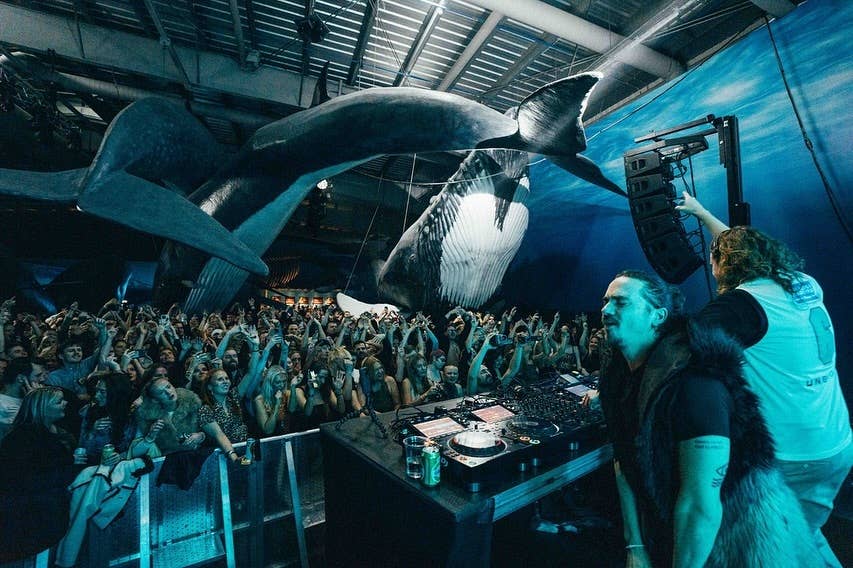 DJ performing for a lively crowd under massive whale models at Whales of Iceland, creating an underwater-themed concert atmosphere.