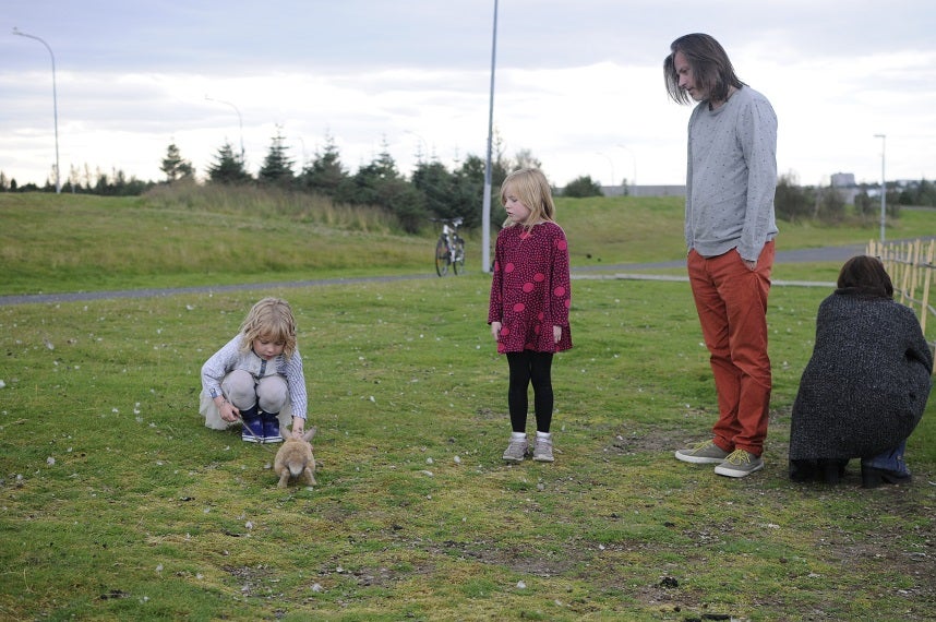 Rabbits in Iceland