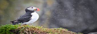 Top 7 Things to Do During Bad Weather in Iceland