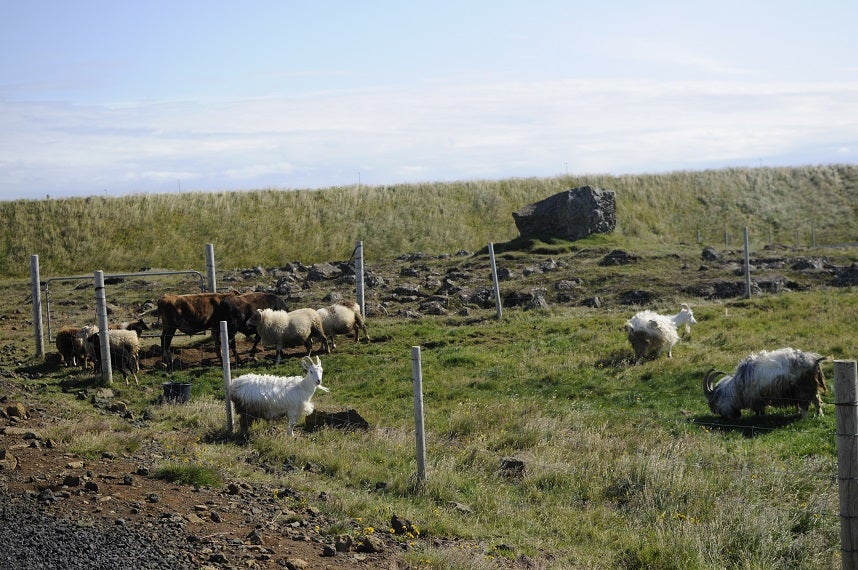 An Afternoon in Keflavik