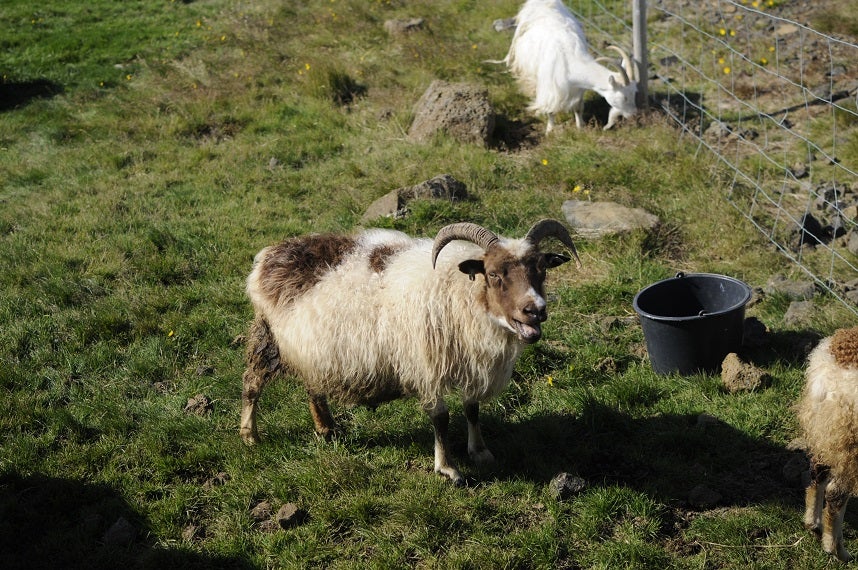 An Afternoon in Keflavik