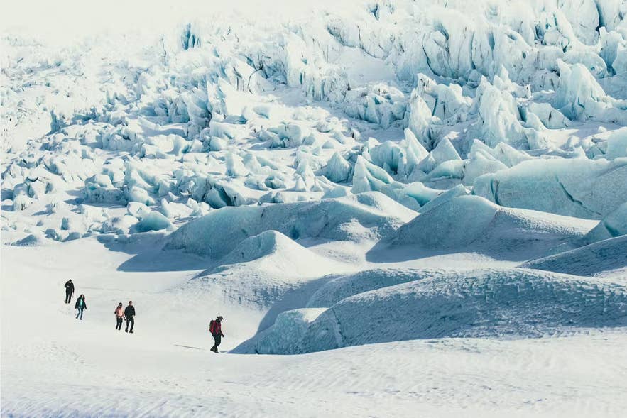 Kleine groep mensen wandelt over een uitgestrekte IJslandse gletsjer, omringd door blauwe en witte ijsrichels en sneeuw.