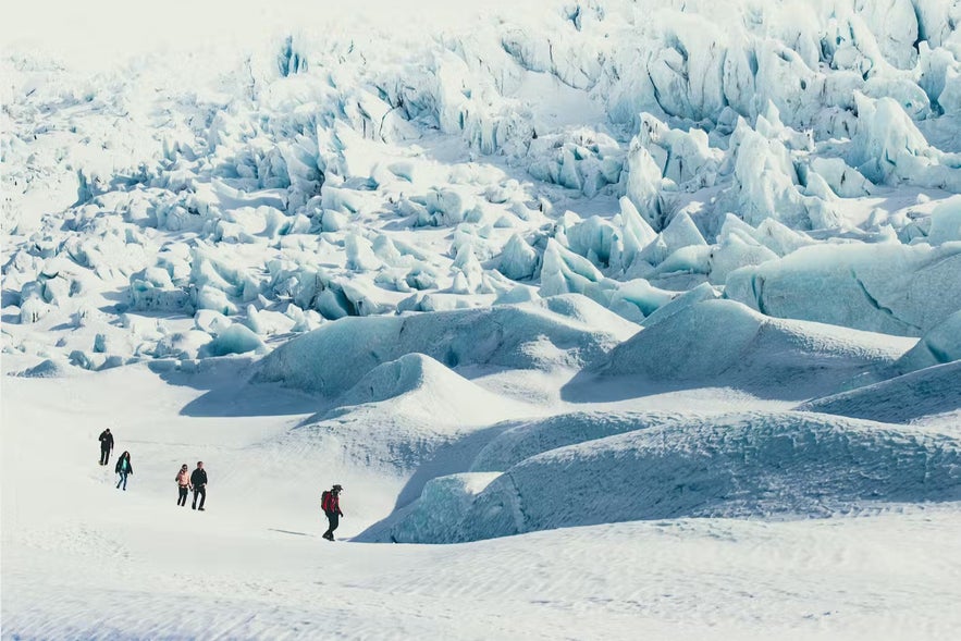 Small group of people hiking across a vast Icelandic glacier, surrounded by ridges of blue-white ice and snow.
