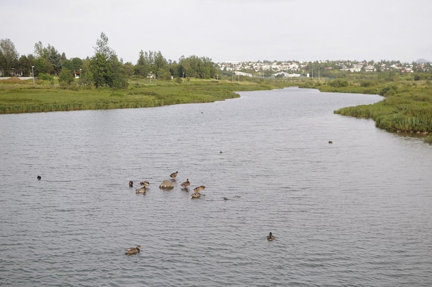 A Photographic Walk in Árbær Folk Museum