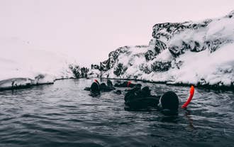 Снорклеры в сухих гидрокостюмах плавают в прозрачных водах расщелины Сильфра, окруженной заснеженными скалами в национальном парке Тингведлир.