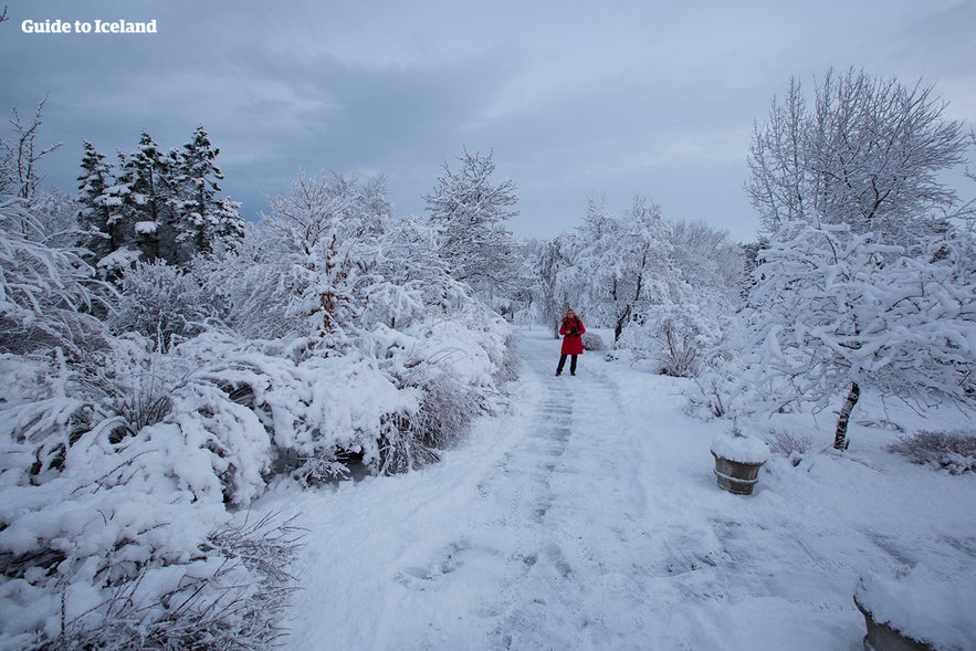 Woman in heavy snow in Reykjavik