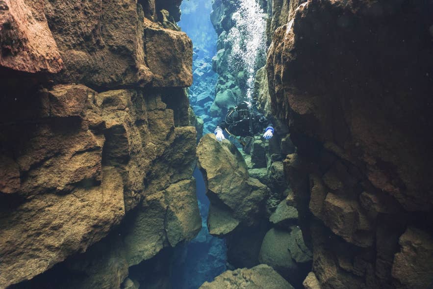 Clear blue glacial water between the rock walls of Silfra Fissure in Thingvellir National Park Clear blue glacial water between the rock walls of Silfra Fissure in Thingvellir National Park