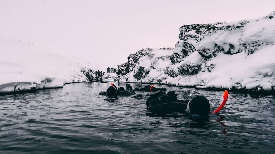 Snorkelers floating through the Silfra Fissure in Thingvellir National Park, Iceland, surrounded by snowy volcanic cliffs.
