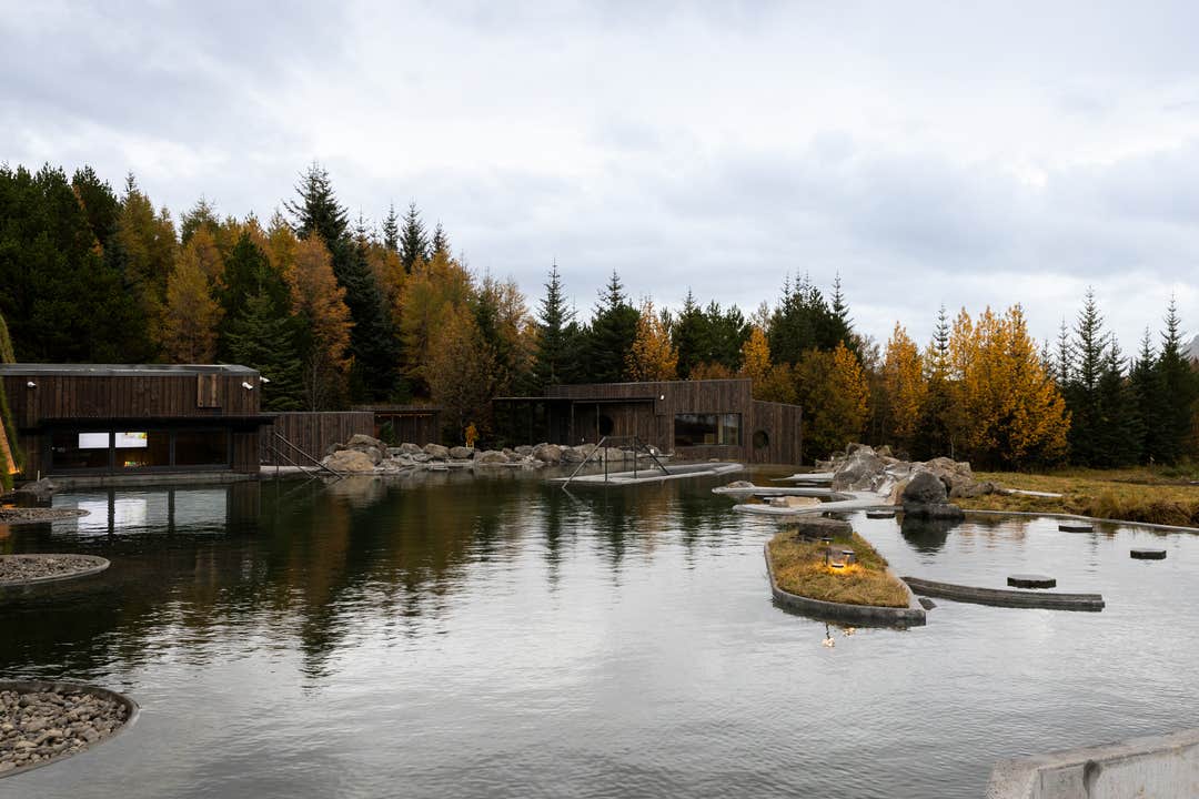De avslappende bassengene på Laugarás Lagoon i Den gyldne sirkel er omgitt av trær.