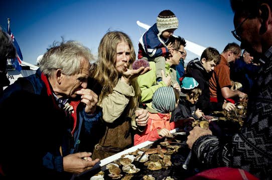 Exceptional 1-Hour Sightseeing and Seafood Cruise in Breidafjordur from Stykkisholmur