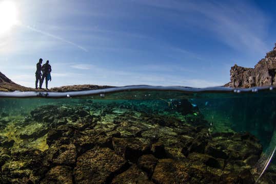 Private PADI Dry Suit Diver Course in Iceland with Pool Training and Open Water Dives from Reykjavik