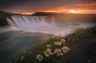 Powerful Godafoss Waterfall flowing under colorful midnight sun sky with blooming flowers in North Iceland.