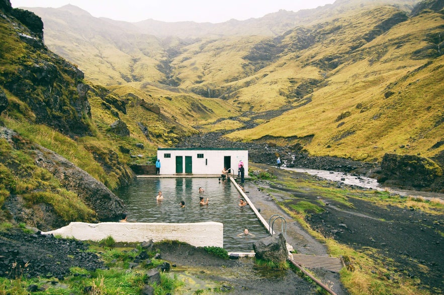 People swimming in Seljavallalaug geothermal pool in Iceland.