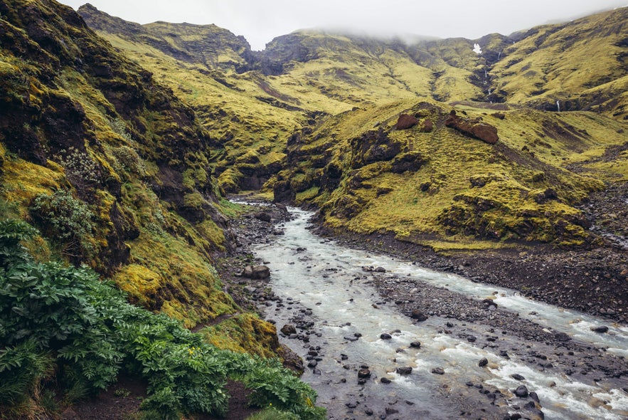 River flowing through Seljavellir Valley surrounded by green moss-covered mountains in South Iceland.