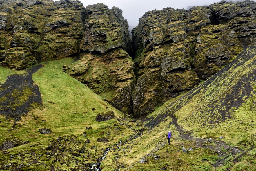Mossy cliffs surround the narrow entrance of Raudfeldsgja Canyon, one of the most mysterious natural wonders of Iceland