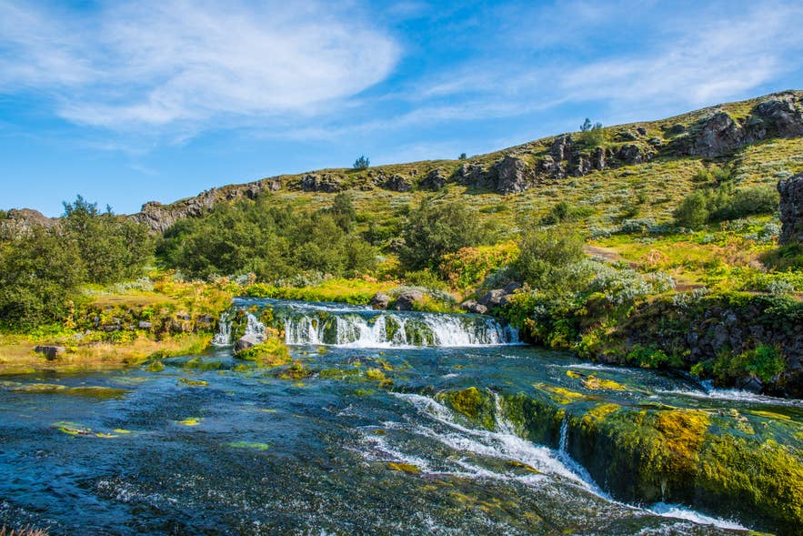 Buntes Moos und Wasserfälle füllen das Gjain-Tal – eine grüne Oase, die Islands ruhige Naturschönheit zeigt