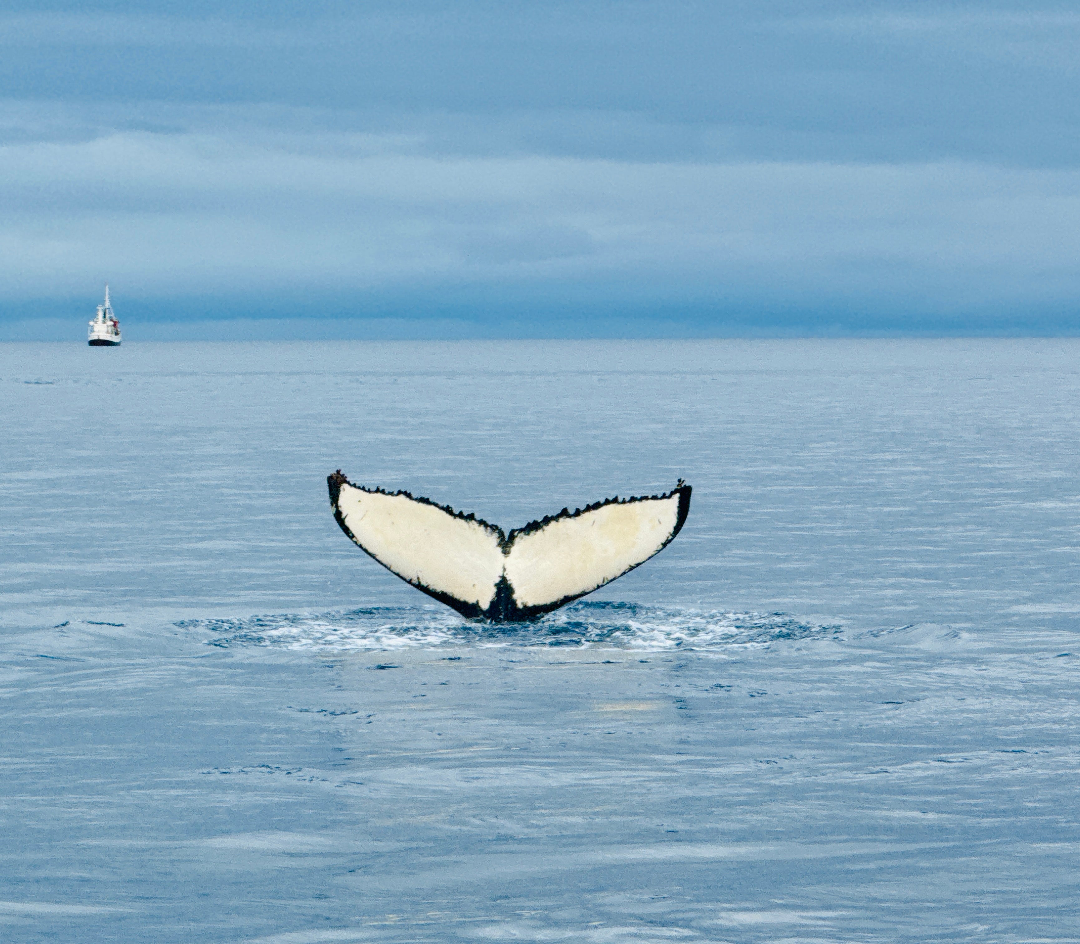 Ramyashree Yadavani Seenegowda