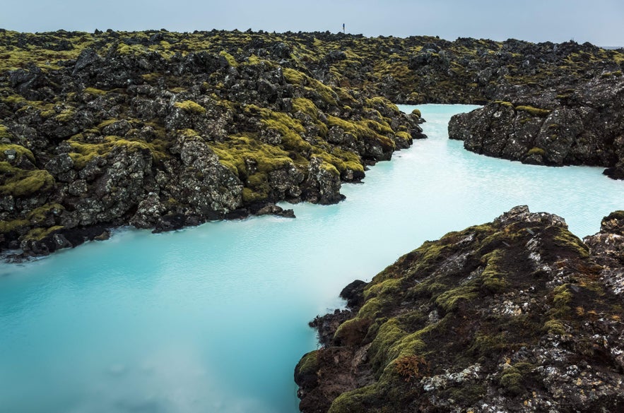 Milky-blue geothermal waters flow through lava fields near the Blue Lagoon, a symbol of the natural beauty of Iceland