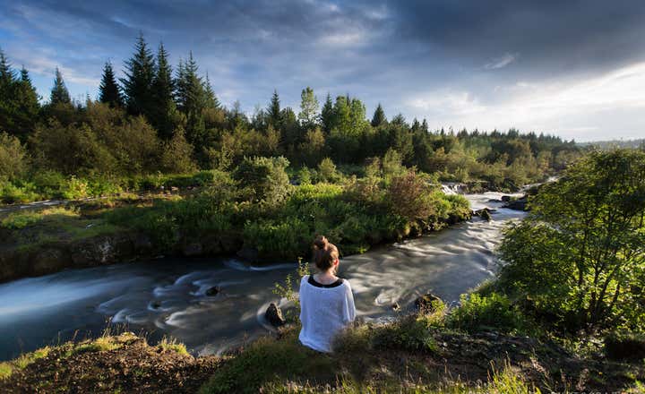 A person sitting by the river in Ellidaardalur Valley, surrounded by lush green woodland in Reykjavik.