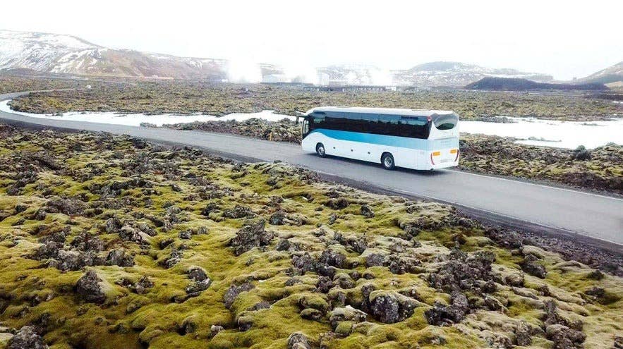 旅游巴士穿过雷克雅内斯半岛被苔藓覆盖的熔岩原野，这是冰岛短途中途停留旅行的常见路线。