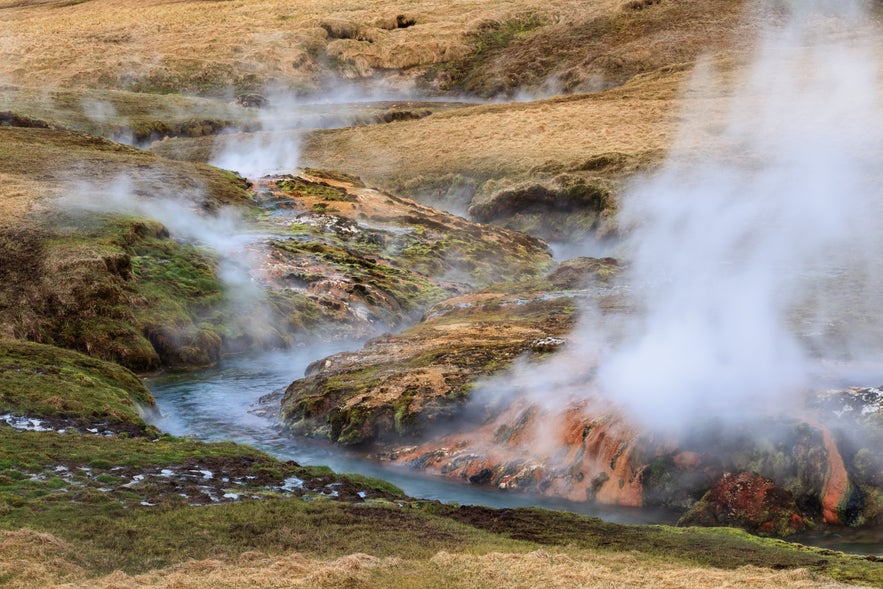 A Hveragerdi, il vapore esce dal terreno in un campo, illustrando il paesaggio geotermico e le sorgenti calde della città.