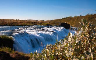 Cascade de Faxafoss en Islande, avec ses puissantes eaux blanches dévalant les roches volcaniques sombres, entourée de rives verdoyantes.