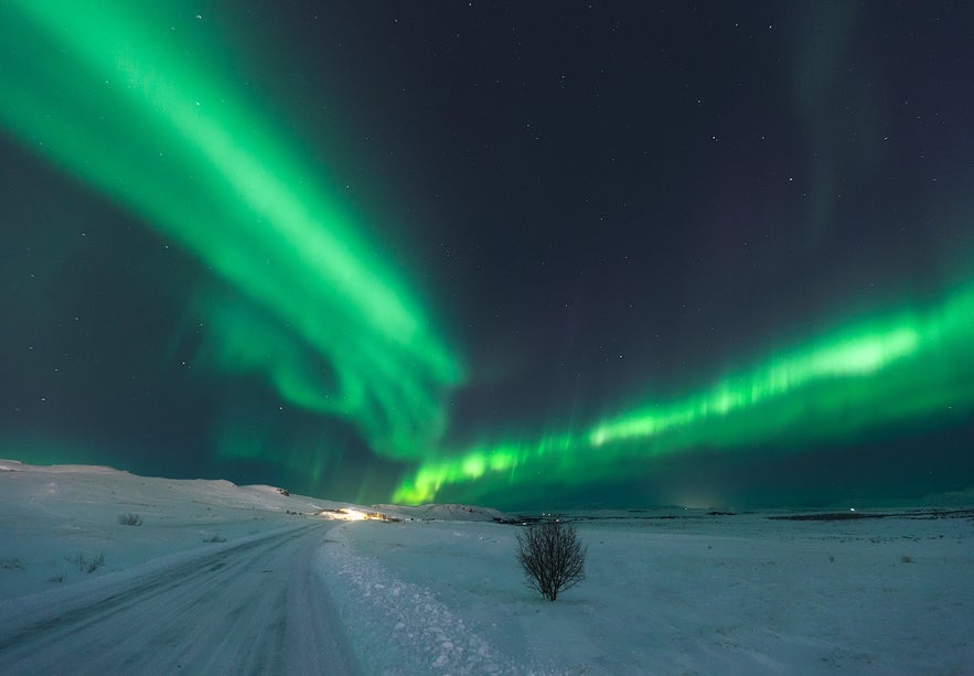 An icy road in Iceland is roofed by the northern lights