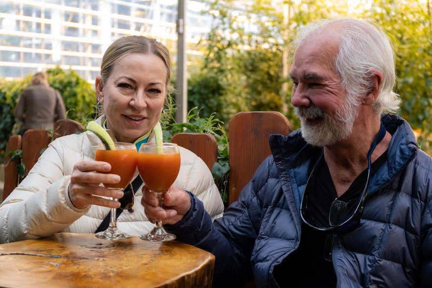 Un couple âgé trinquant dans une serre luxuriante, plongé dans l'atmosphère animée de l'expérience culinaire de Fridheimar.