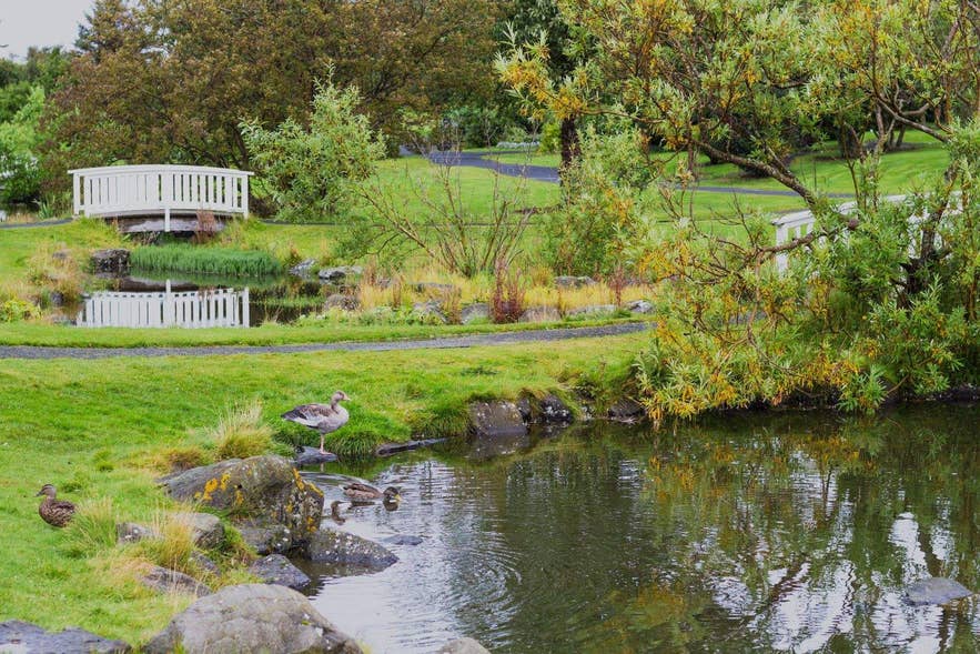 Il parco Laugardalur a Reykjavik, Islanda, in estate.