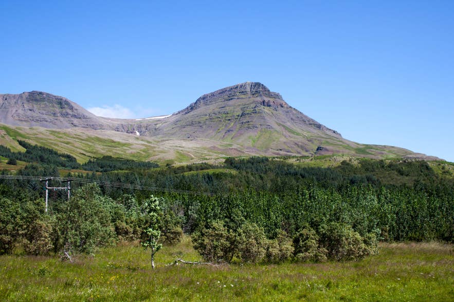 Il Monte Esja che si erge sopra il verde sotto un cielo limpido, una delle esperienze imperdibili a Reykjavik a giugno.
