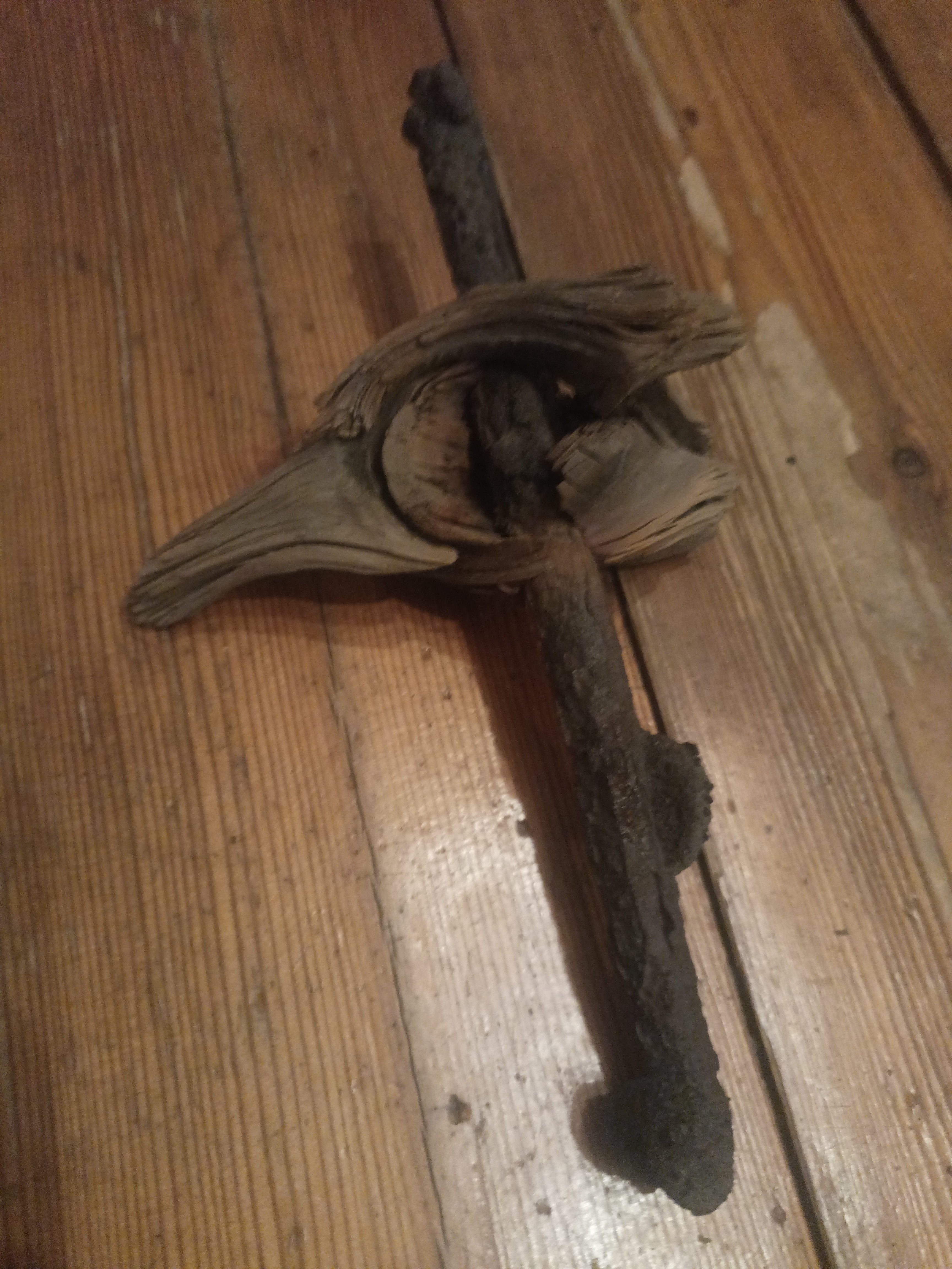 Jean Bernard Tusseau 