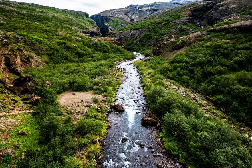 River flowing through lush green valley on the hiking route to Glymur Waterfall in Iceland. River flowing through lush green valley on the hiking route to Glymur Waterfall in Iceland.