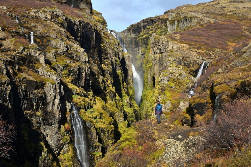 Hiker walking through the deep canyon toward Glymur Waterfall.