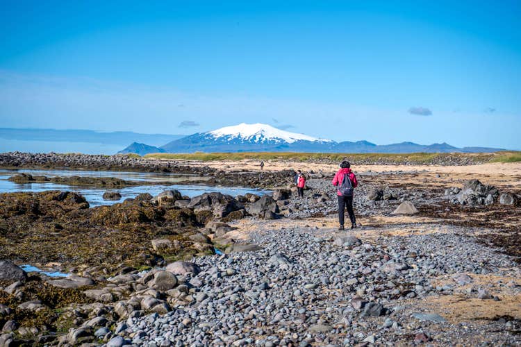2026 Solar Eclipse Minibus Tour in Snaefellsnes from Reykjavik