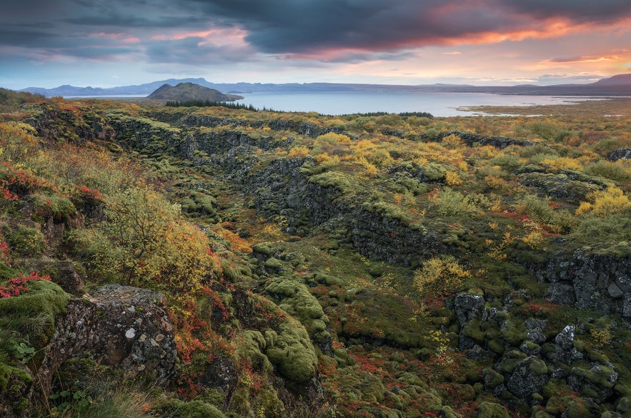 Efter&aring;rslandskab i Thingvellir Nationalpark i Island med mosbevoksede lavamarker, stenet riftdal og s&oslash; ved solnedgang
