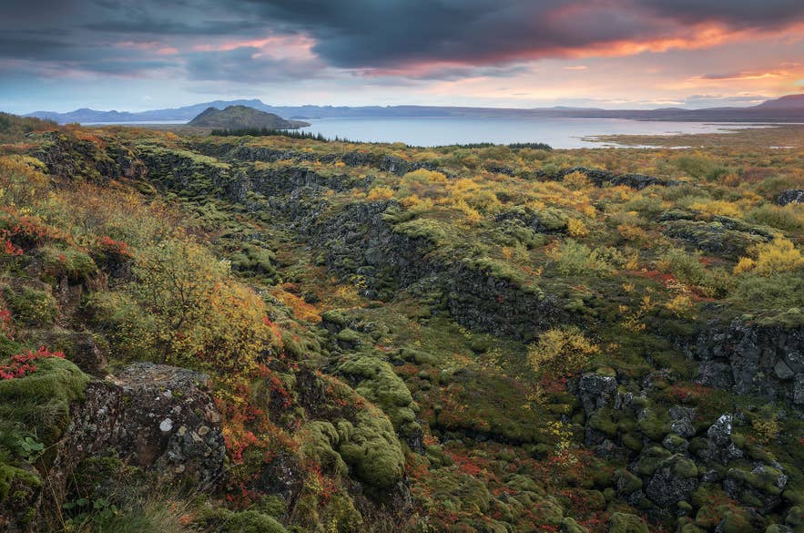 Paysage automnal au parc national de Thingvellir en Islande, avec des champs de lave moussus, une vallée tectonique rocheuse et un lac au coucher du soleil
