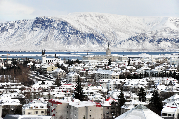 Private Reykjavik City Tour with Top Landmarks and Multi-Language Guide Options