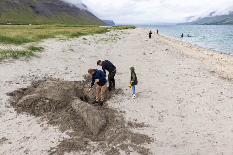 Customizable Westfjords Tour with Isafjordur Transfers and Optional Water Activities