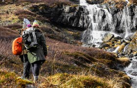 Customizable Westfjords Tour with Isafjordur Transfers and Optional Water Activities