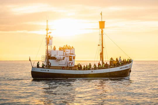 Midnight Sun Whale Watching from Húsavík