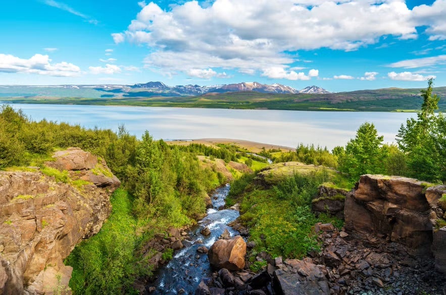 A small river flows between rocky cliffs and green vegetation toward a wide lake, with distant snow-capped mountains and a bright blue sky dotted with clouds in East Iceland.