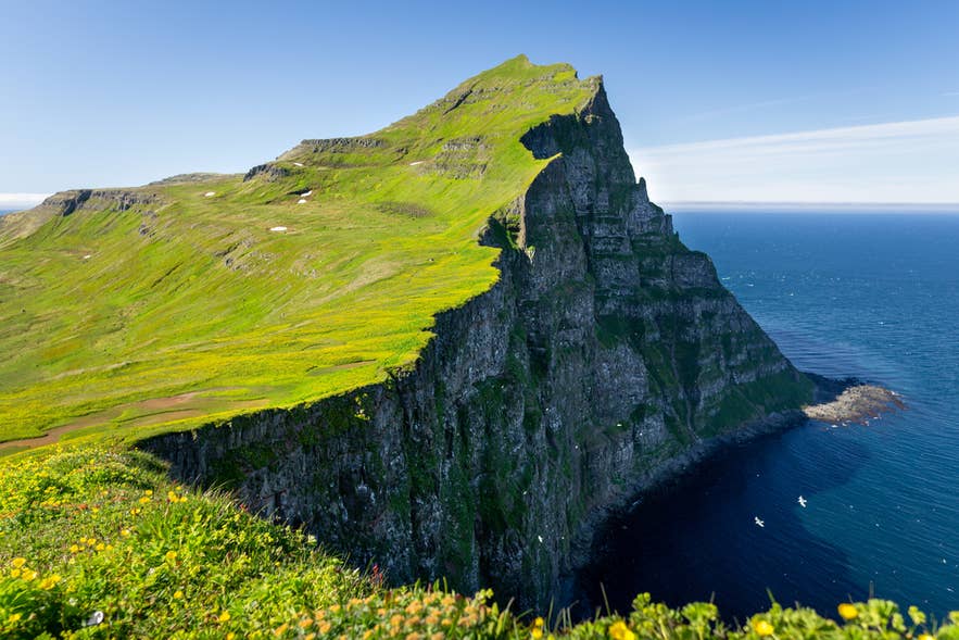Los acantilados de Hornbjarg se elevan abruptamente sobre el Atlántico Norte en Islandia, con sus cimas cubiertas de hierba en contraste con la oscura roca vertical.