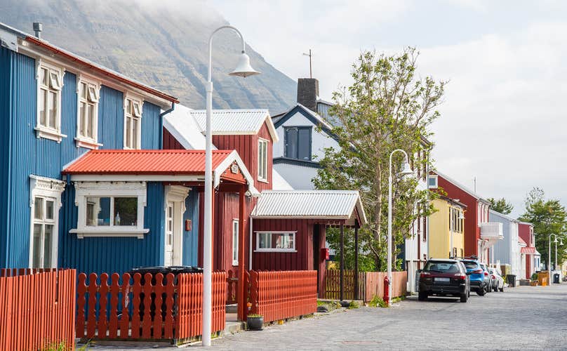 Private Dynjandi Waterfall & Westfjords Farm Tour from Isafjordur