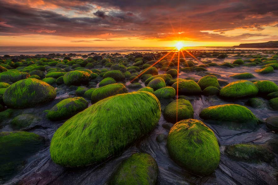 Pierres recouvertes de mousse sur une plage au coucher du soleil en Islande.